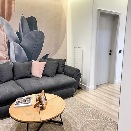 Apartment Alice Cluj-Napoca